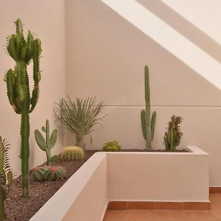 Villa Casa Mareterra - Design With Pool And Terrace Near And Lajares